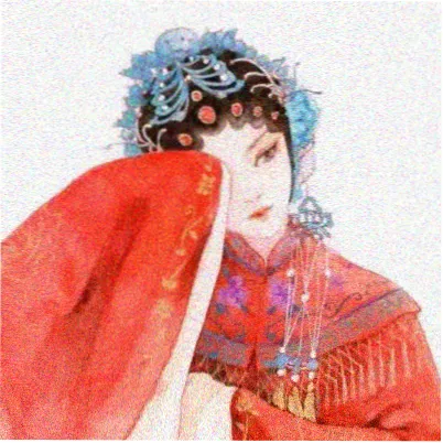 用户 三花猫监督 头像